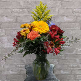 Your Special Fall FG206F