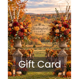 Autumn floral arch with pumpkins and lanterns, overlaid with Gift Card text