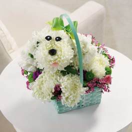 White chrysanthemum arrangement shaped like a dog in a turquoise basket