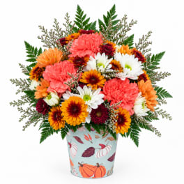 Mixed mums in a decorative pumpkin-patterned container
