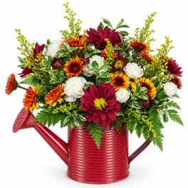 Mixed bouquet in a red watering can with burgundy, orange, and white blooms