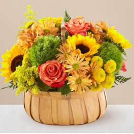 Basket arrangement with sunflowers, roses, and yellow daisies