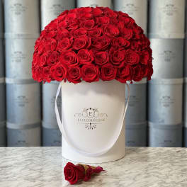 Large dome of red roses in a white hatbox with a single rose boutonniere in front