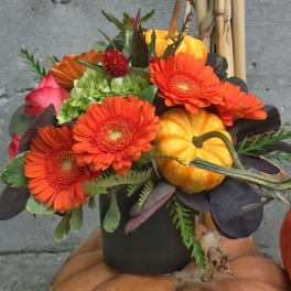 Orange gerbera daisies and pumpkins in a black container