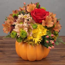 Fall flower arrangement in a pumpkin-shaped container with a red rose and mixed blooms