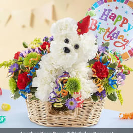 White flower dog in a basket with a birthday balloon