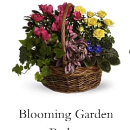 Mixed flower basket with pink and yellow blooms in a wicker basket