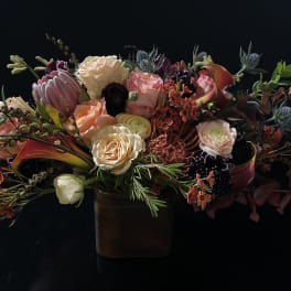 Fall color designers choice.