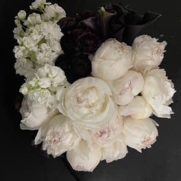 Breathtaking Elegance.