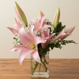 Pink lilies arranged in a clear glass vase