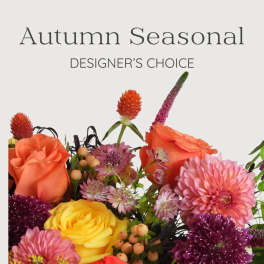 Fall Designer's Choice