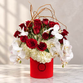 Red roses and white orchids arranged in a red box with curly branches