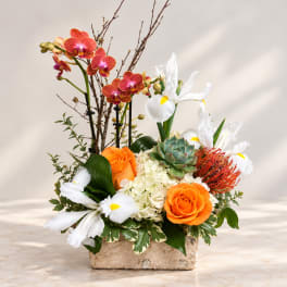 Mixed floral arrangement with orange roses, white irises, and orchids in a stone container