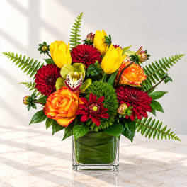 Bright mixed bouquet in a clear square vase with yellow tulips and red dahlias