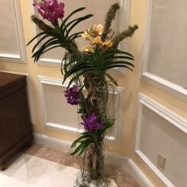 Live Orchid Tree (event)