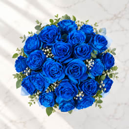 Bouquet of vivid blue roses with small white filler flowers