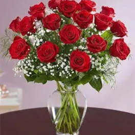 Red roses arranged in a clear glass vase with white filler flowers