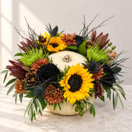 Sunflower and chrysanthemum arrangement in a white pumpkin container