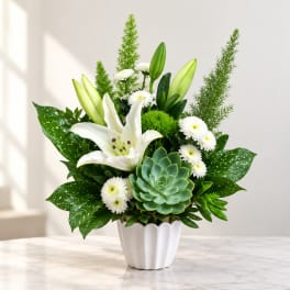 White lilies and white daisies in a white pot with a green succulent