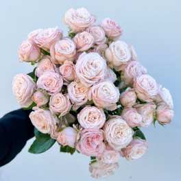 Bombastic Spray Rose bunch