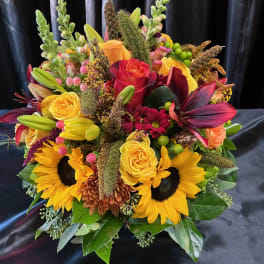 Autumn Surprise