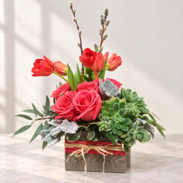 Pink roses and red tulips in a wooden box with succulents