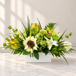 White and green floral arrangement in a rectangular white vase