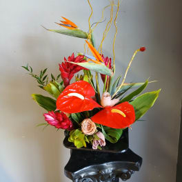 Tropical arrangement with red anthuriums and bird-of-paradise flowers in a black vase
