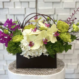Floral arrangement with orchids, hydrangeas, and green carnations in a dark box