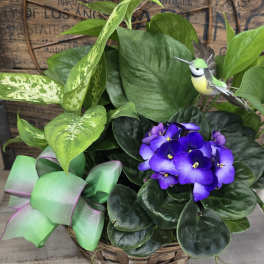Potted plant arrangement with purple African violets and a decorative bird