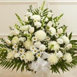 Fan-shaped arrangement of white mums, daisies, and roses with a large white bow.