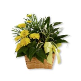 Yellow flowers in a woven basket with a ribbon