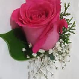 Single hot pink rose boutonniere with small white accent flowers on a white background
