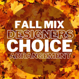 Fall Mix - Seasonal Designers Choice Arrangement
