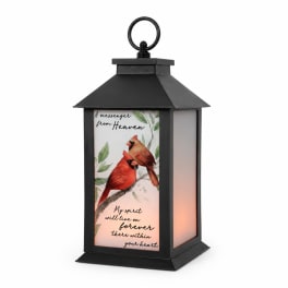 Black lantern with a cardinal memorial insert and warm light inside