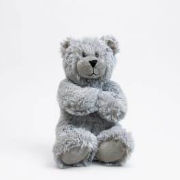 Gray teddy bear plush toy sitting on a white background