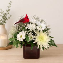 White daisies and a red cardinal in a dark glass vase