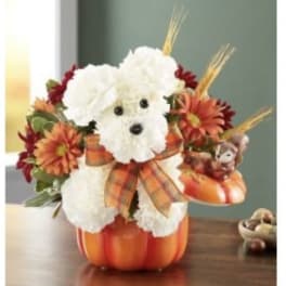 White teddy bear floral arrangement in a pumpkin container with orange flowers