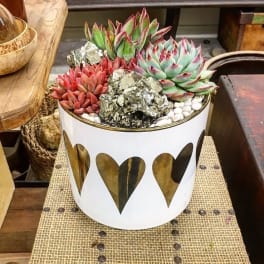 Succulent arrangement in a white heart-patterned pot with metallic accents