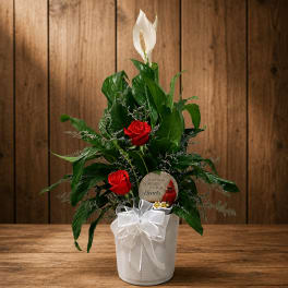Red roses and a white peace lily in a white pot with a ribbon