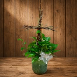 Potted green plant arrangement with a white ribbon and twig cross topper