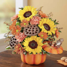 Sunflower and orange flower arrangement in a pumpkin container
