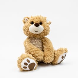 Plush teddy bear sitting on a white background