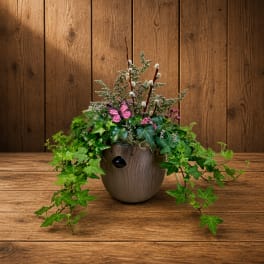 Potted ivy arrangement with pussy willow stems and a pink butterfly decoration