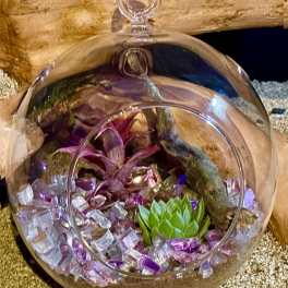 Glass terrarium with purple air plant, green succulent, and colorful stones resting on sand and wood