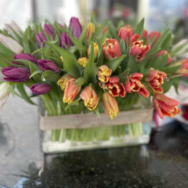 Bouquet of multicolored tulips in a clear glass vase