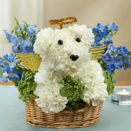 All Dogs go to Heaven