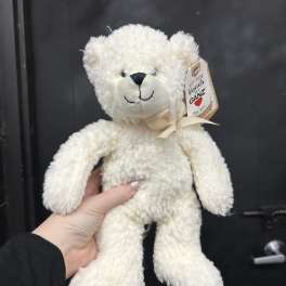 White teddy bear with a ribbon and hanging tag