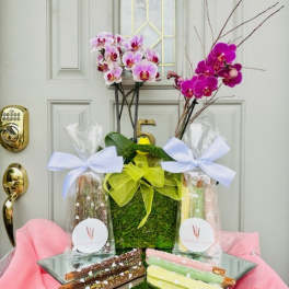 Orchid arrangement with gift bags and chocolate-covered pretzel rods