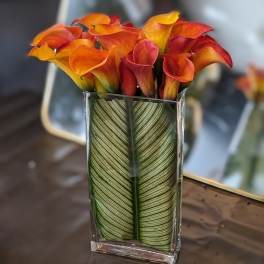 Orange and red calla lilies in a clear rectangular vase